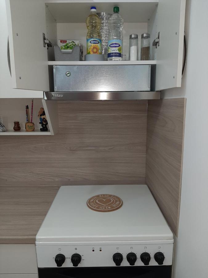 Apartman Viaggio Sremska Mitrovica Zewnętrze zdjęcie